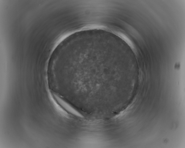 X0000091951055200709201319