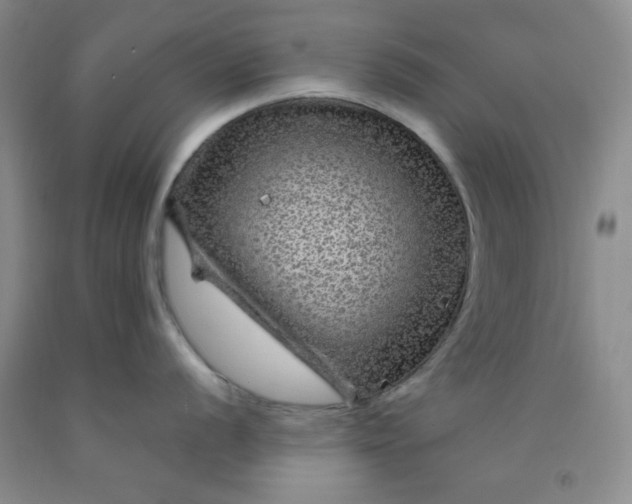 X0000091951056200709201319