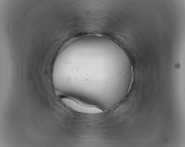 X0000091951057200709201318