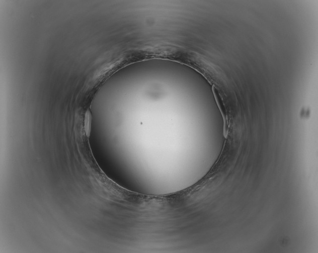 X0000091951058200709201318