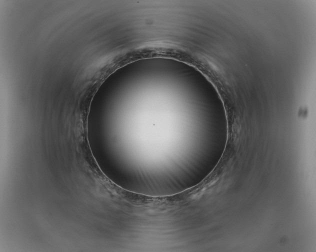 X0000091951062200709201318