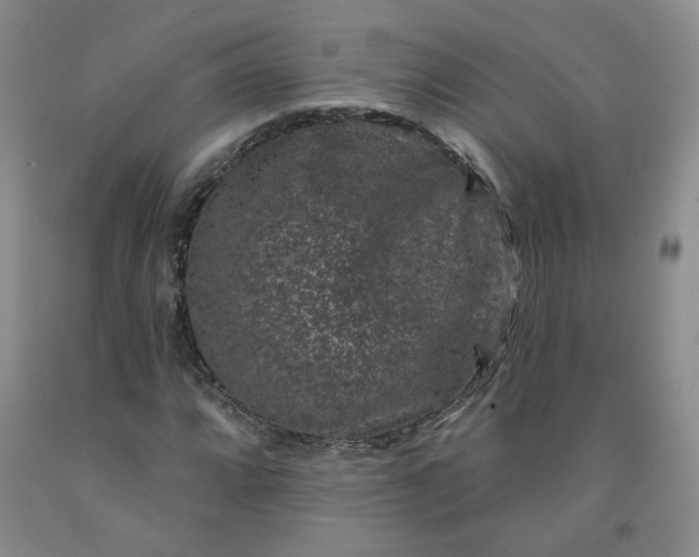 X0000091951064200709201318