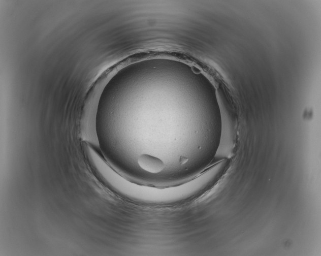 X0000091951065200709201318