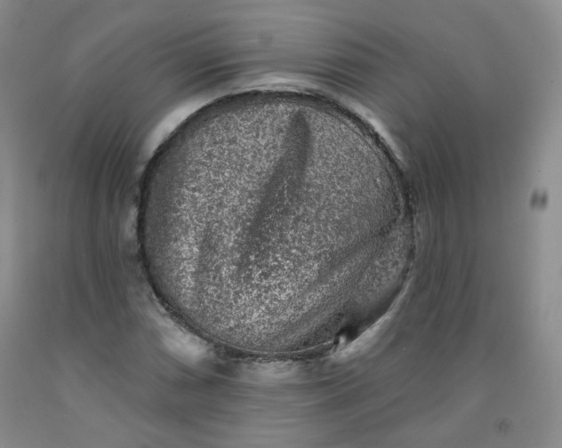 X0000091951066200709201318