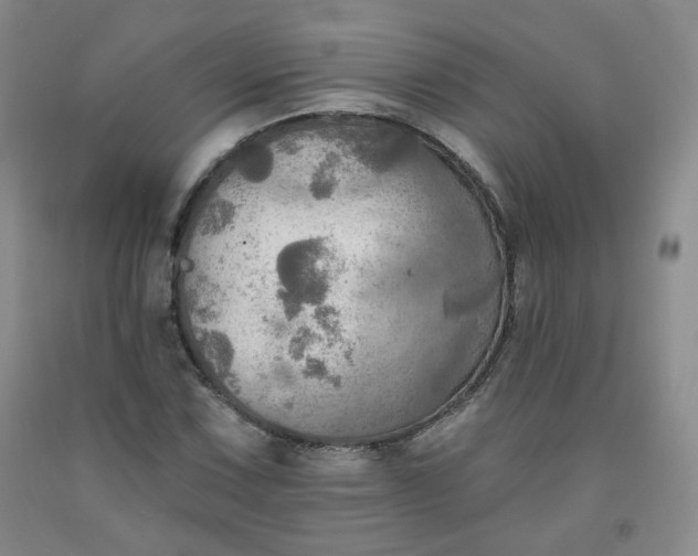 X0000091951067200709201318