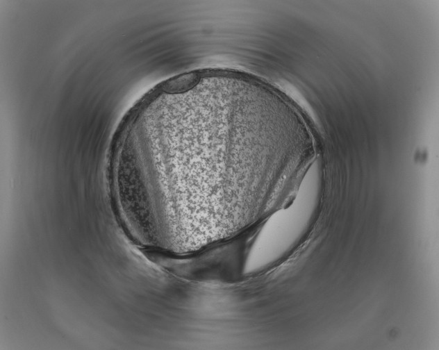 X0000091951068200709201318