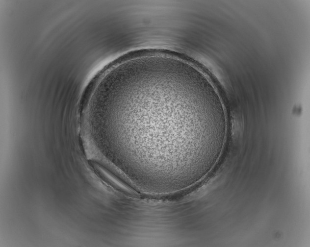 X0000091951069200709201318