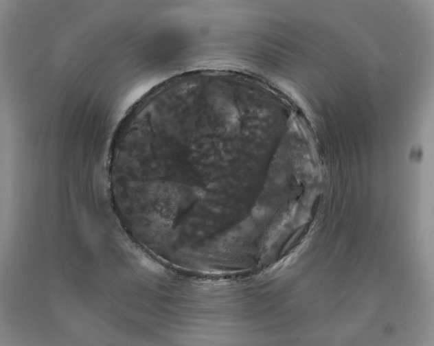 X0000091951071200709201318