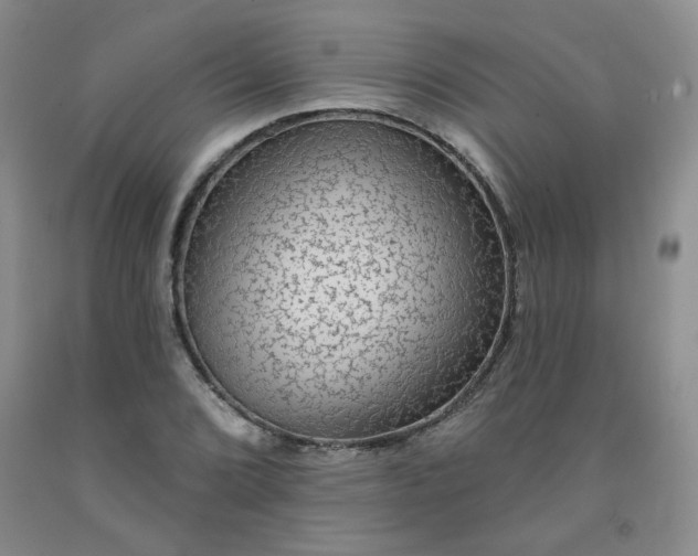 X0000091951072200709201318