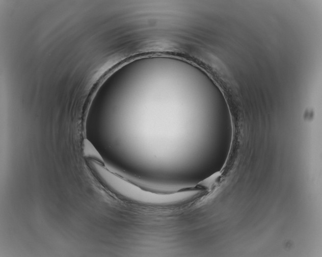 X0000091951073200709201318