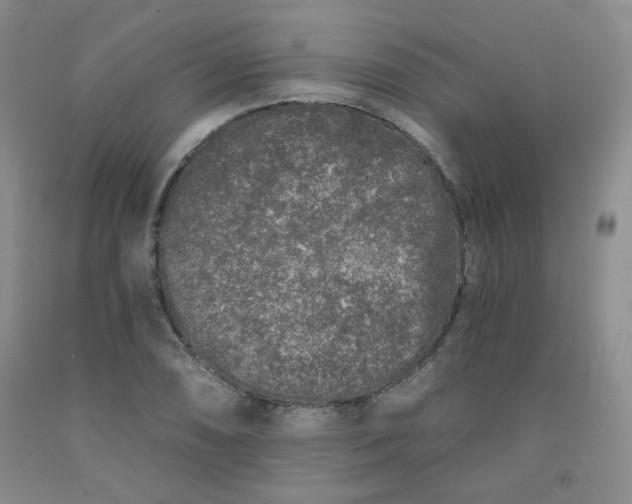 X0000091951074200709201318