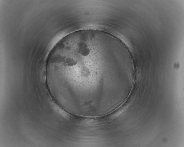 X0000091951075200709201318