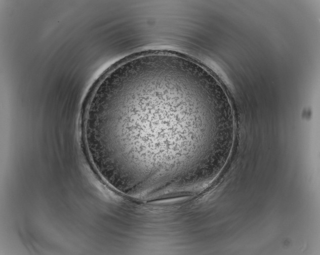 X0000091951076200709201318