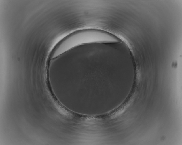 X0000091951077200709201318