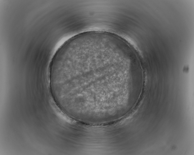 X0000091951078200709201318