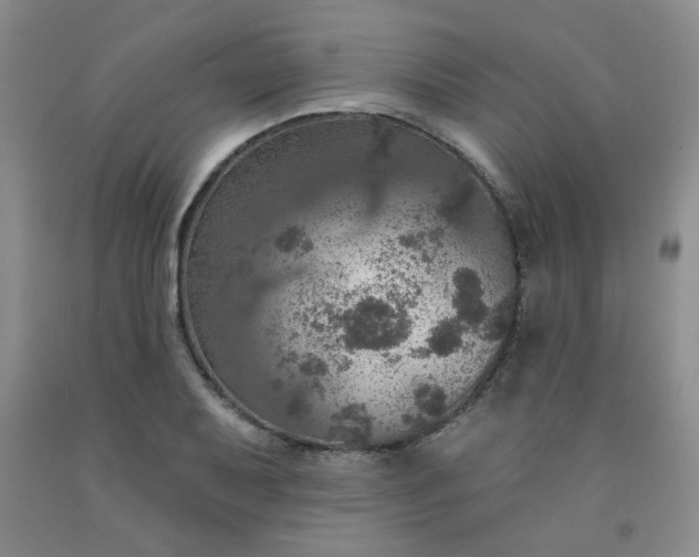 X0000091951079200709201318