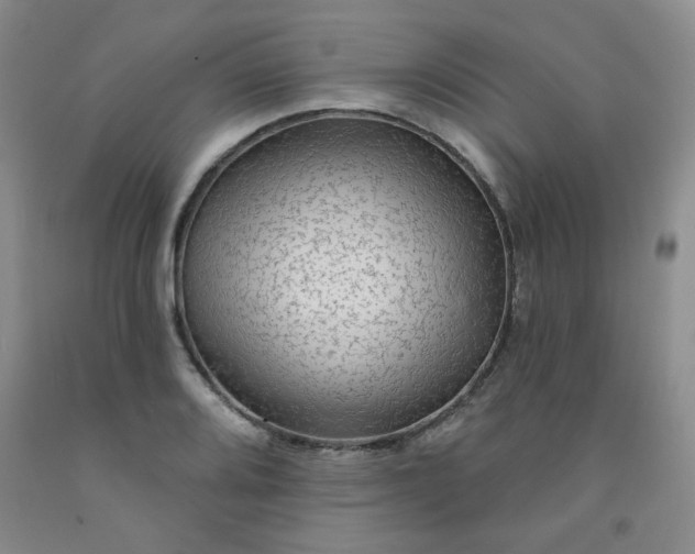 X0000091951080200709201318