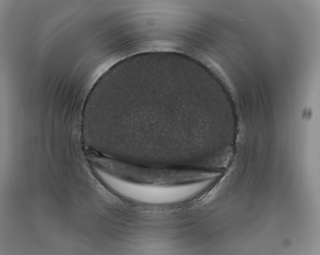 X0000091951081200709201318