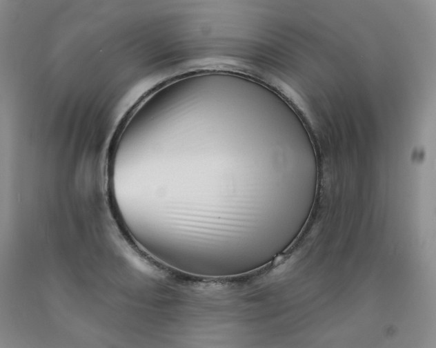 X0000091951082200709201318