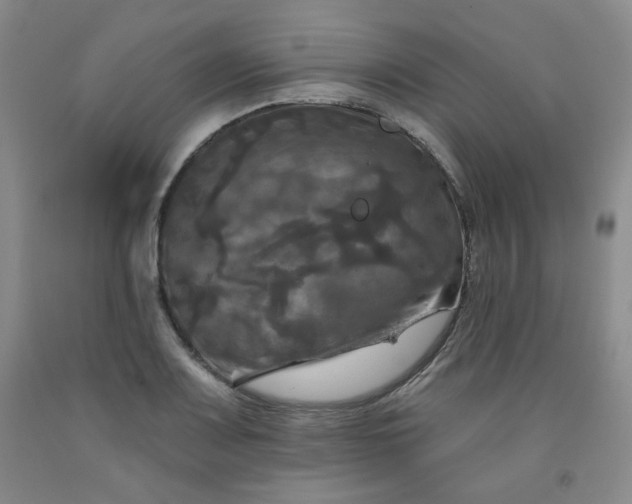 X0000091951083200709201318