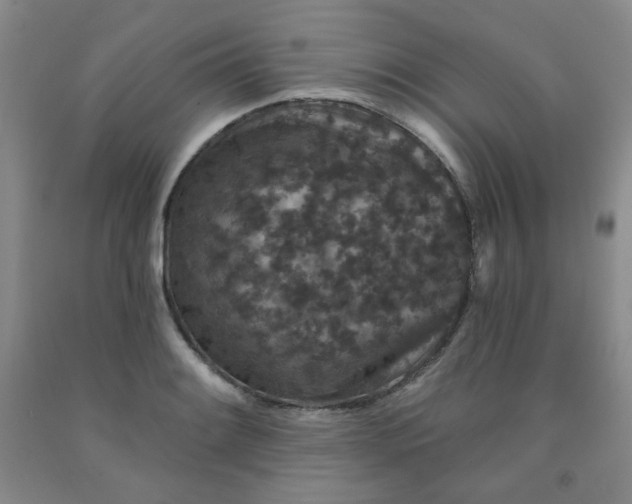 X0000091951084200709201318