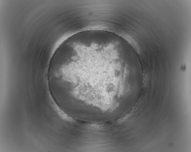 X0000091951086200709201318