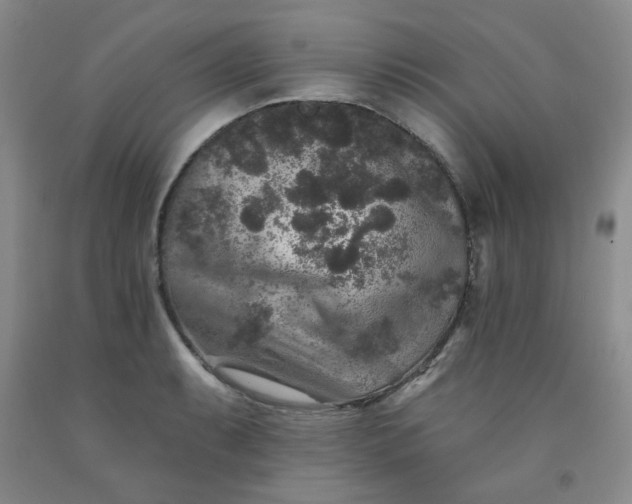 X0000091951087200709201318