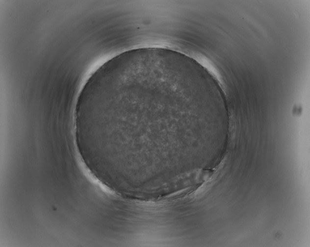 X0000091951088200709201318