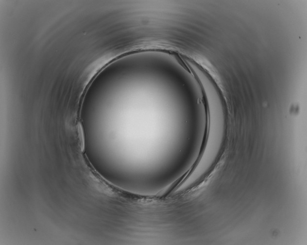 X0000091951089200709201318