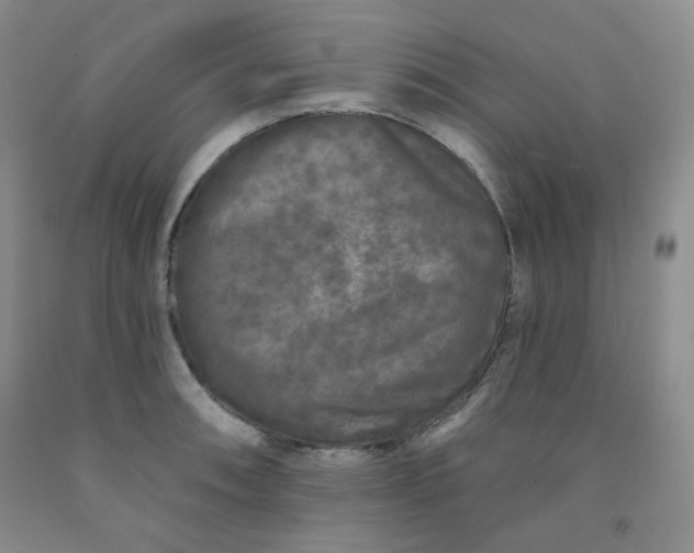 X0000091951090200709201318