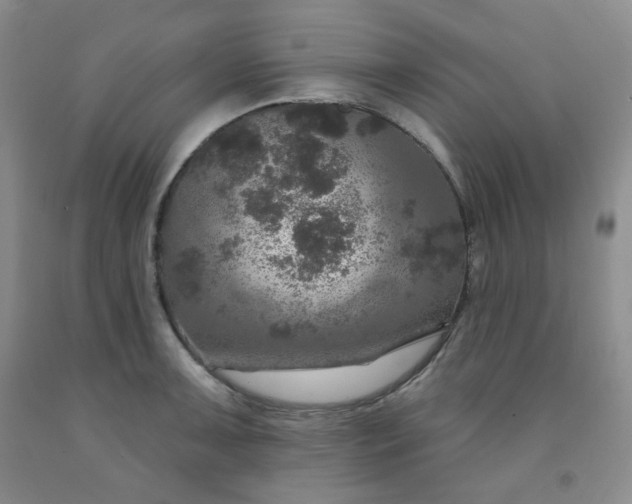 X0000091951091200709201318