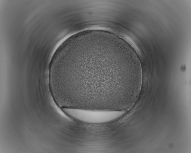 X0000091951092200709201318