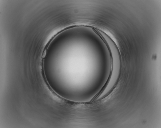 X0000091951093200709201318