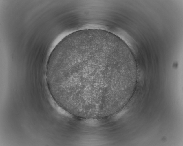 X0000091951094200709201318