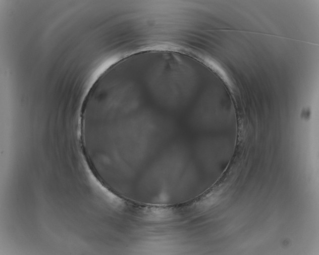 X0000091951095200709201317