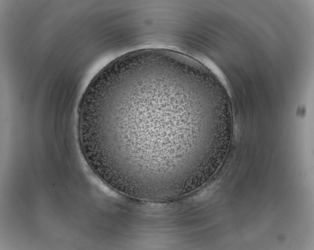 X0000091951096200709201317