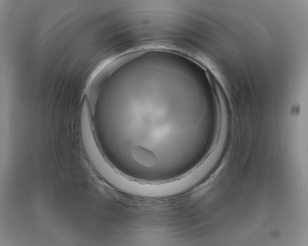 X0000091951097200709201317