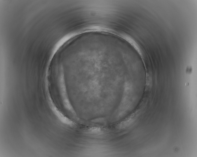 X0000091951098200709201317