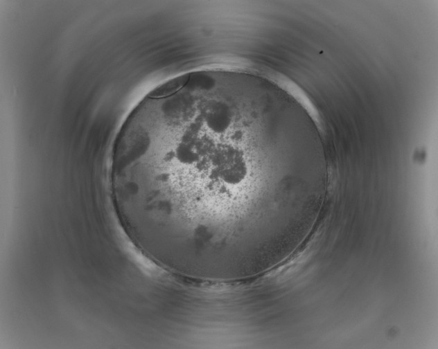 X0000091951099200709201317