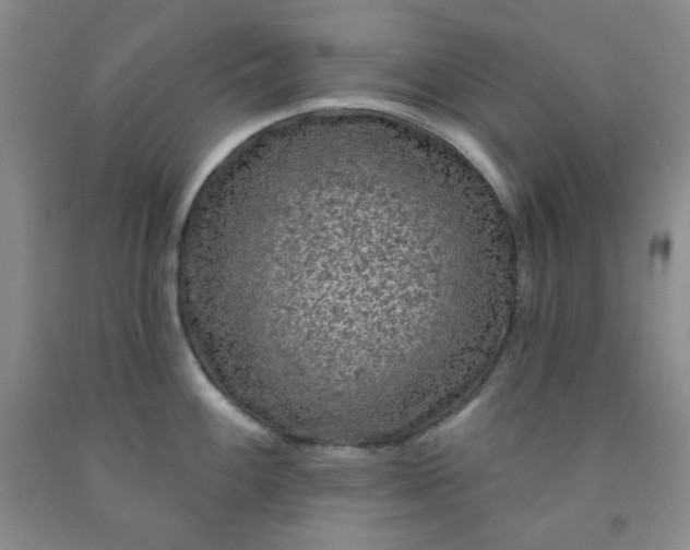 X0000091951100200709201317