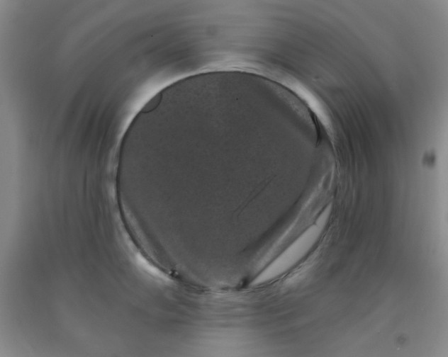 X0000091951102200709201317