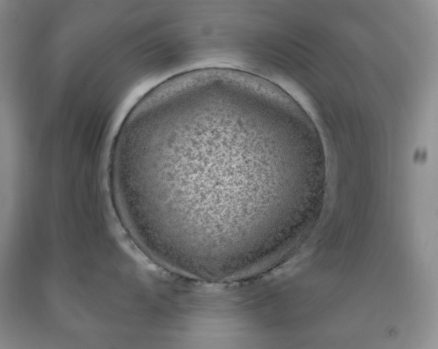 X0000091951104200709201317