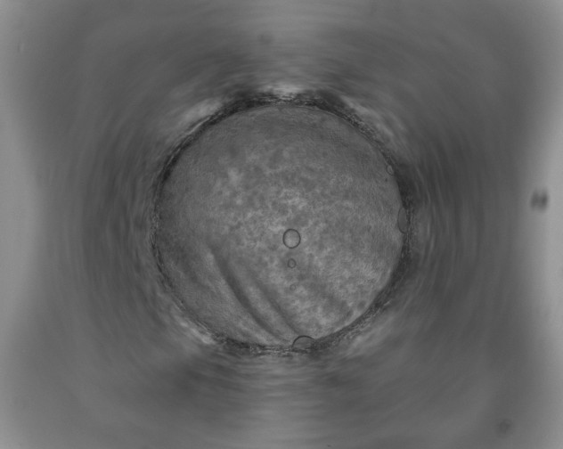 X0000091951105200709201317