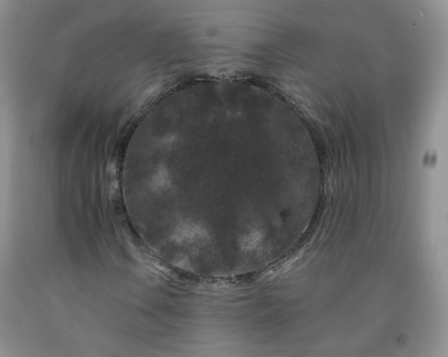 X0000091951106200709201317