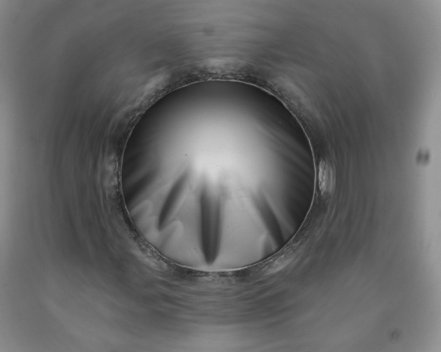 X0000091951107200709201317