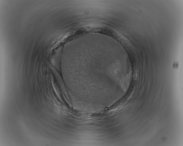 X0000091951108200709201317