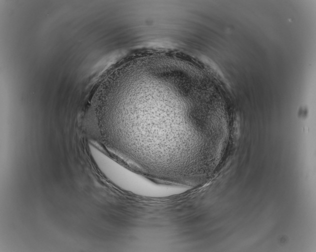 X0000091951110200709201317