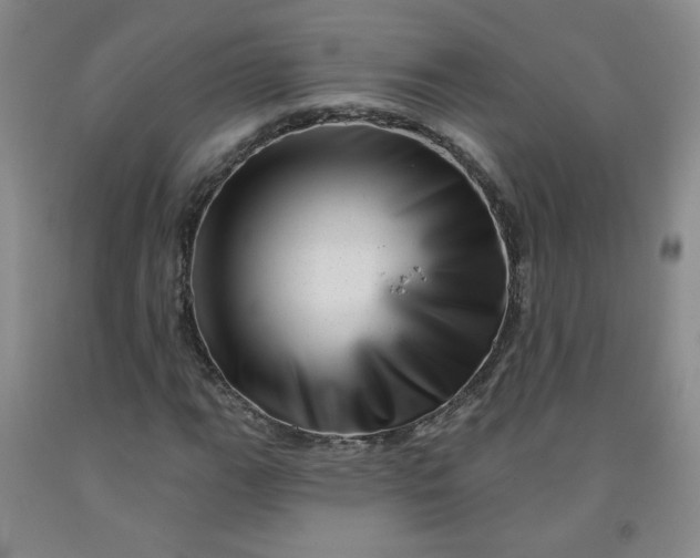 X0000091951111200709201317