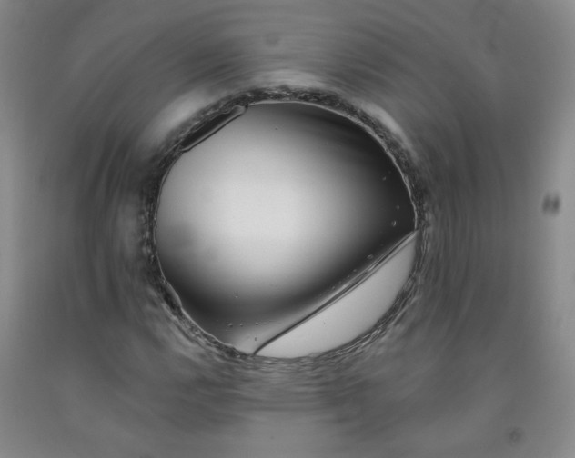 X0000091951112200709201317