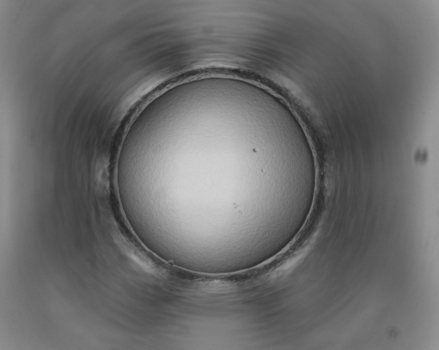 X0000091951113200709201317